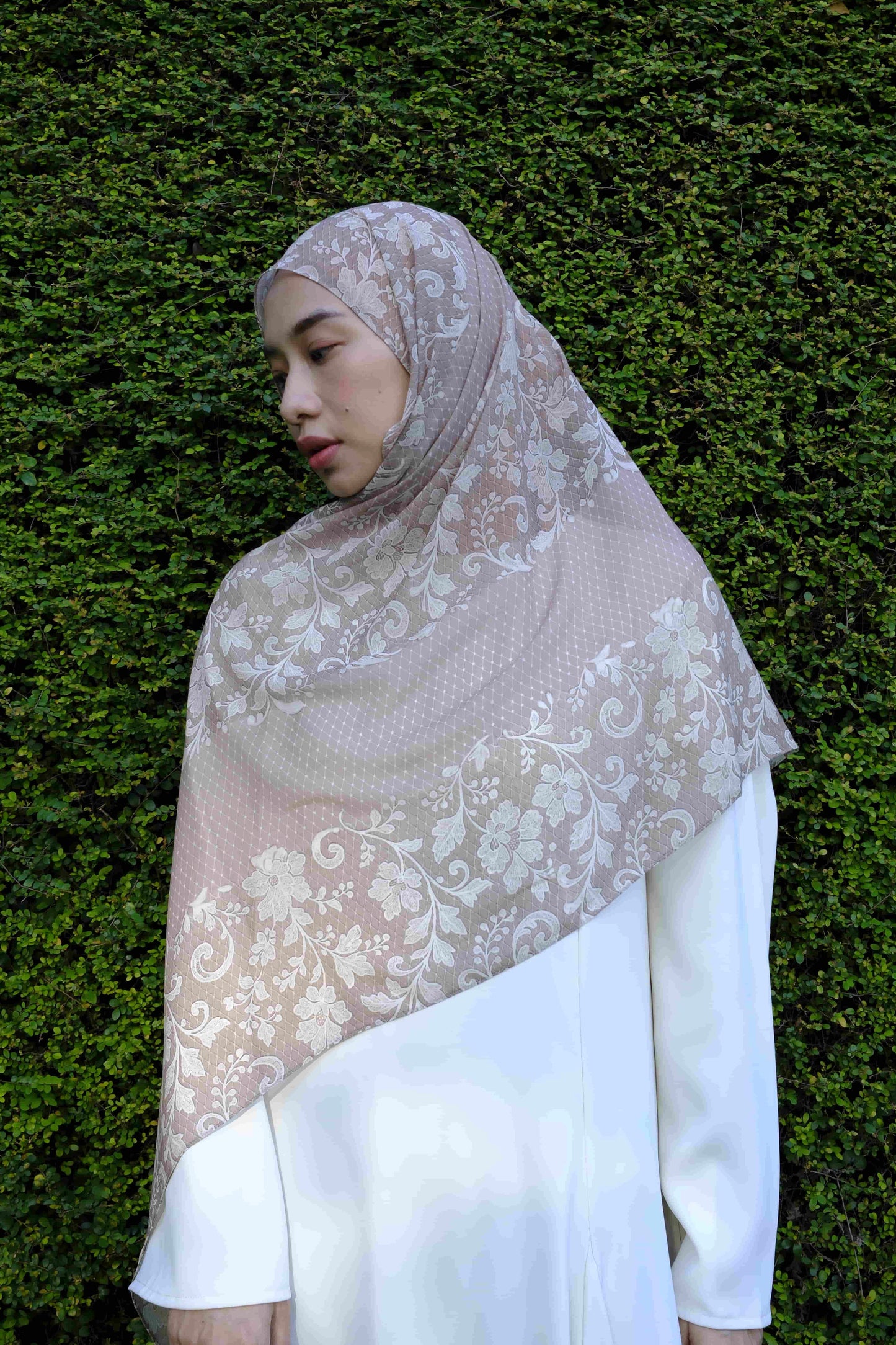 Queen of Lace Chiffon Silk in Beige