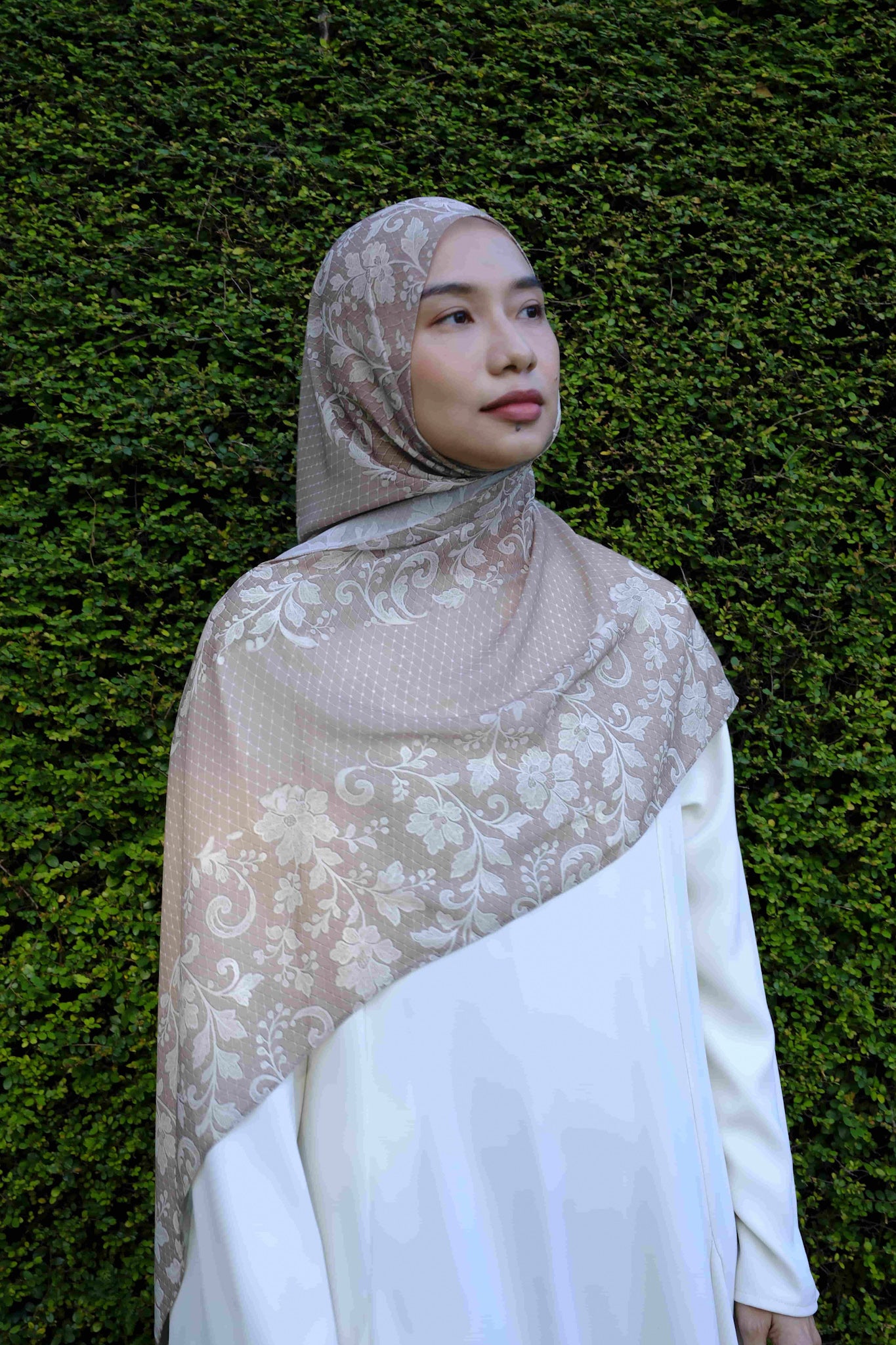 Queen of Lace Chiffon Silk in Beige
