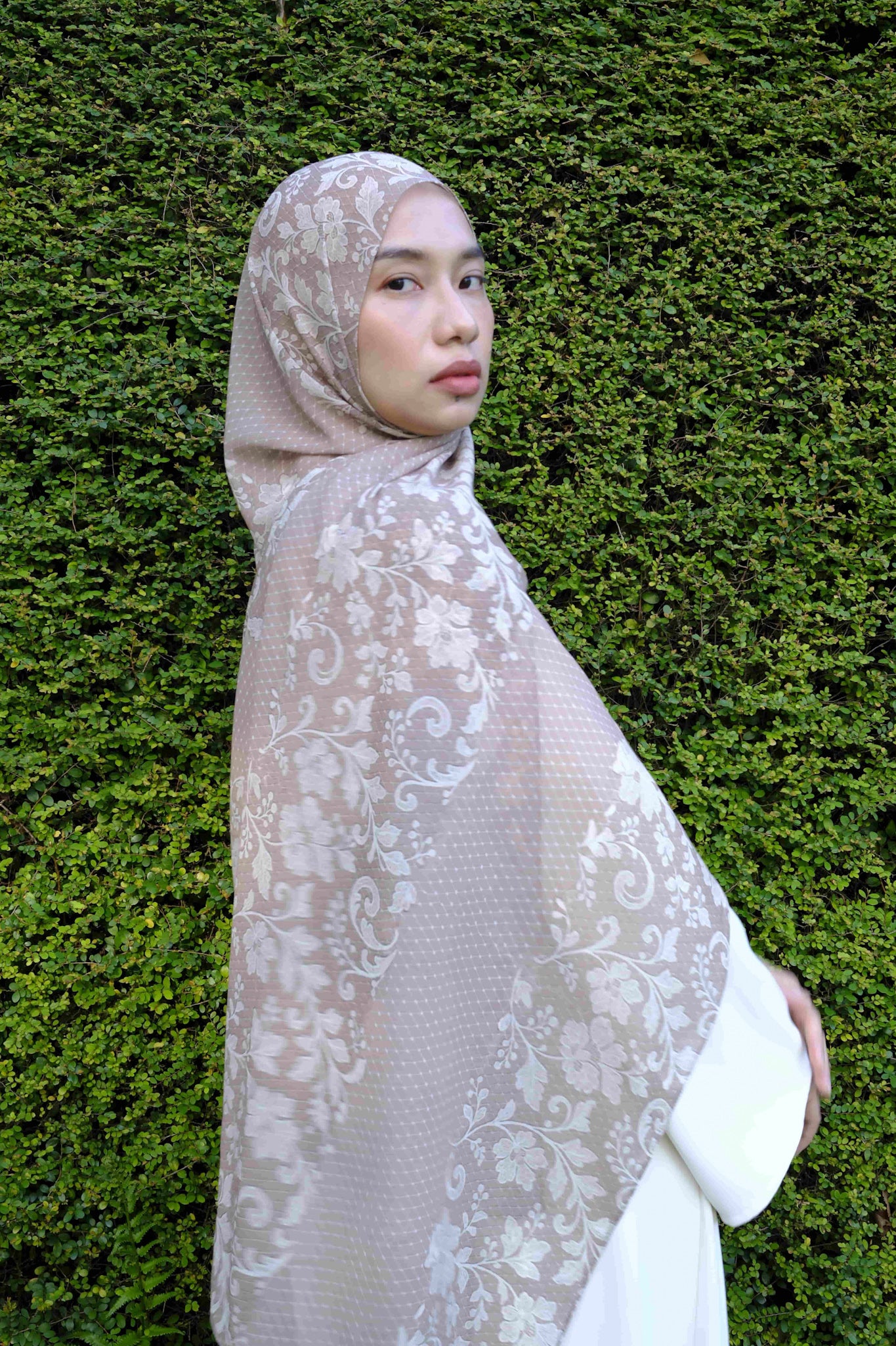 Queen of Lace Chiffon Silk in Beige